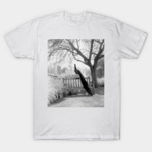 Black and White Peacock Scene T-Shirt